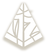 Spacy Logo